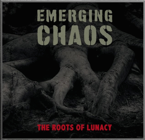 Emerging Chaos : The Roots of Lunacy